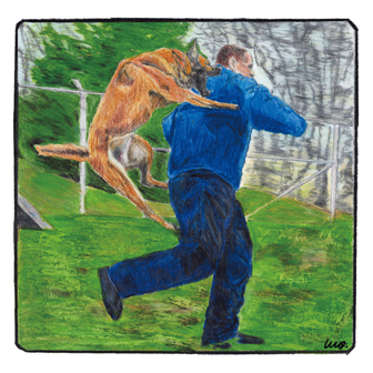 岡と田上の音源的関係